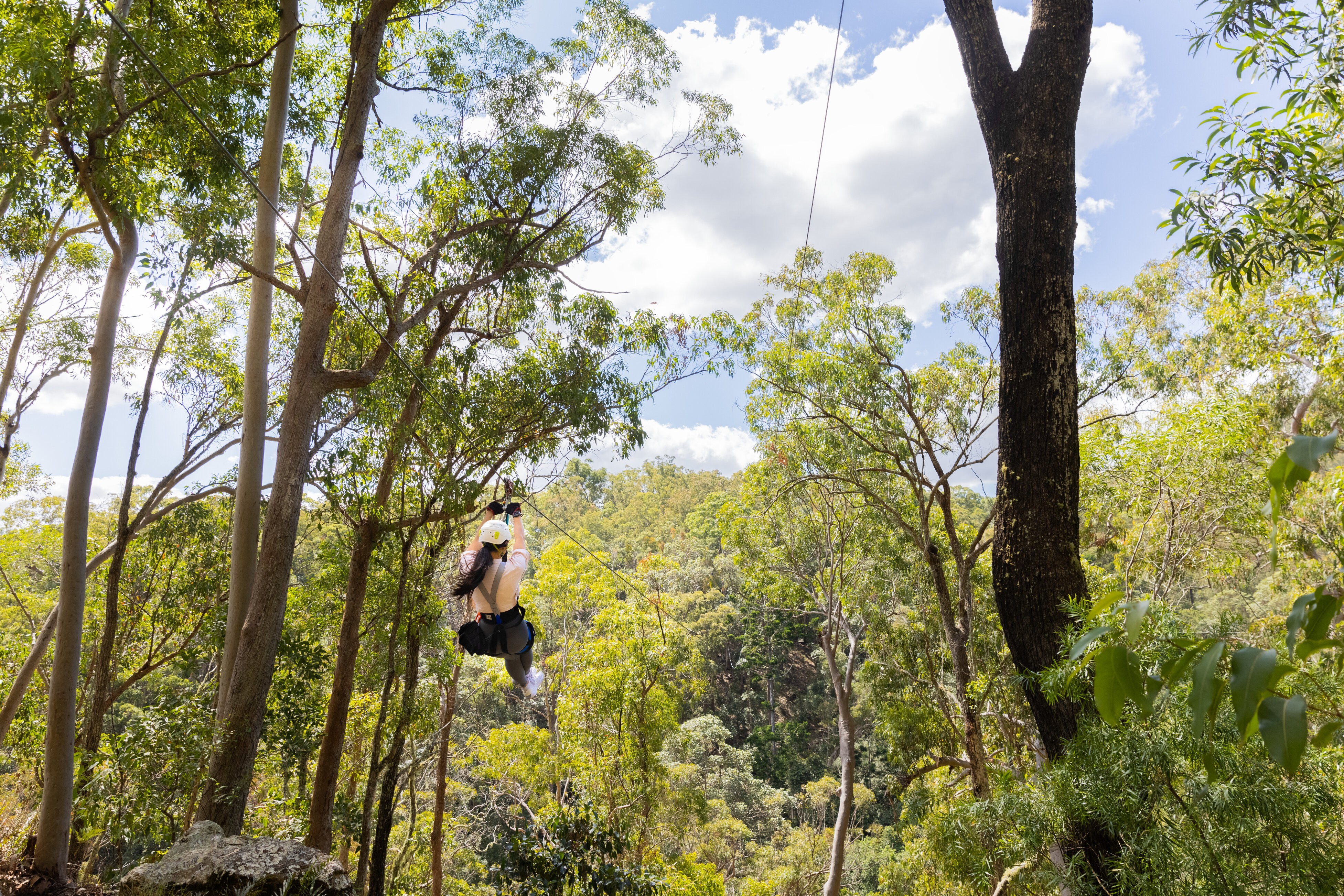 Australien Zipline