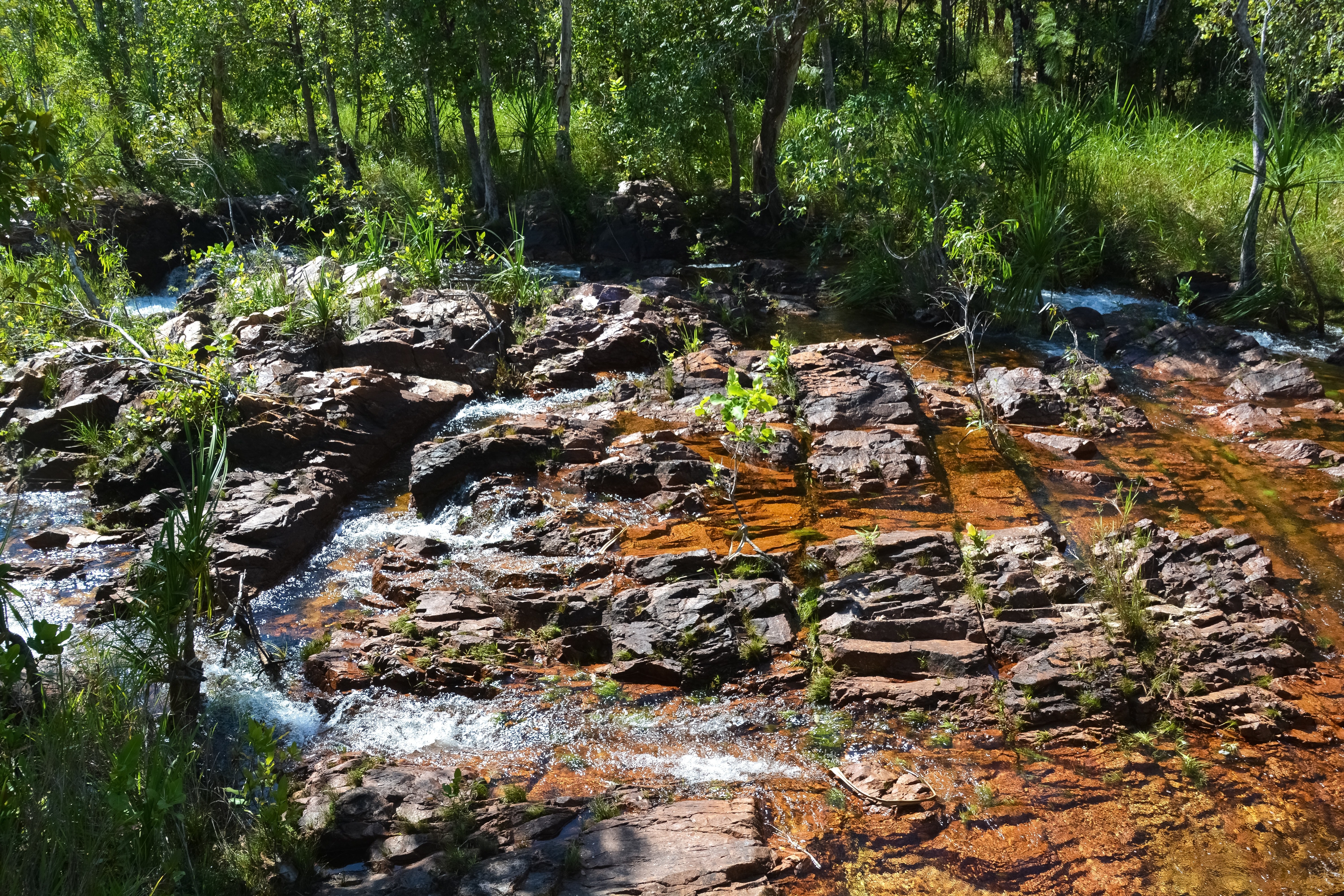 Australia nt litchfield nationalpark2
