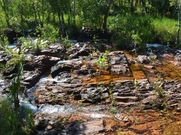 Australia nt litchfield nationalpark2