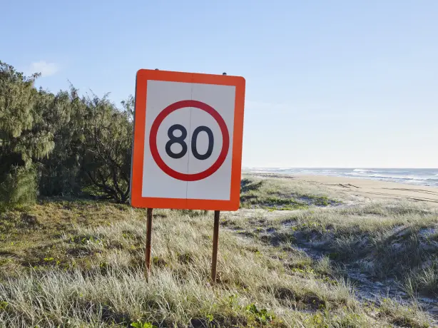 Verkehrsschild mit Höchstgeschwindigkeit 80 km/h bei Dünen und Meer