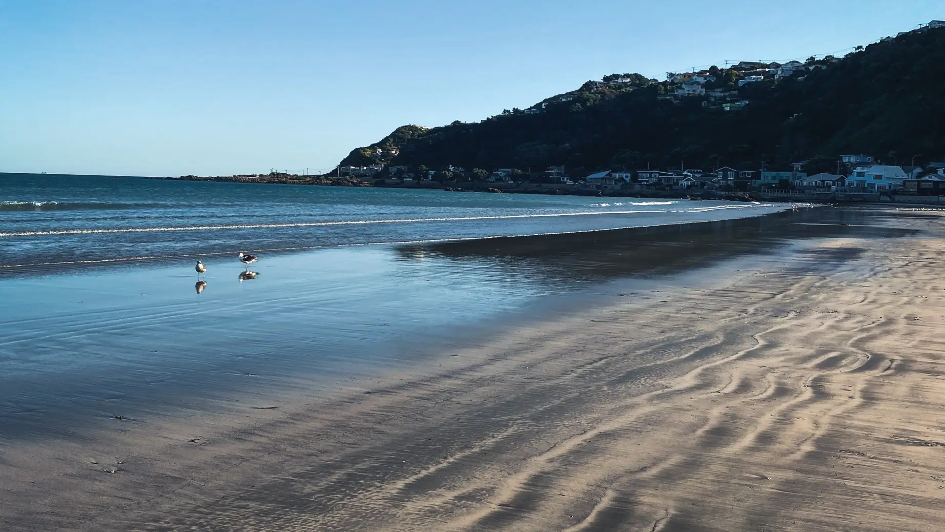 nz-north-wellington-lyall-bay
