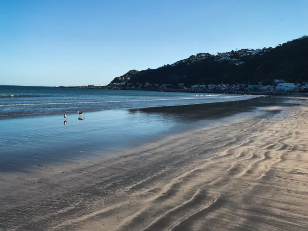 nz-north-wellington-lyall-bay