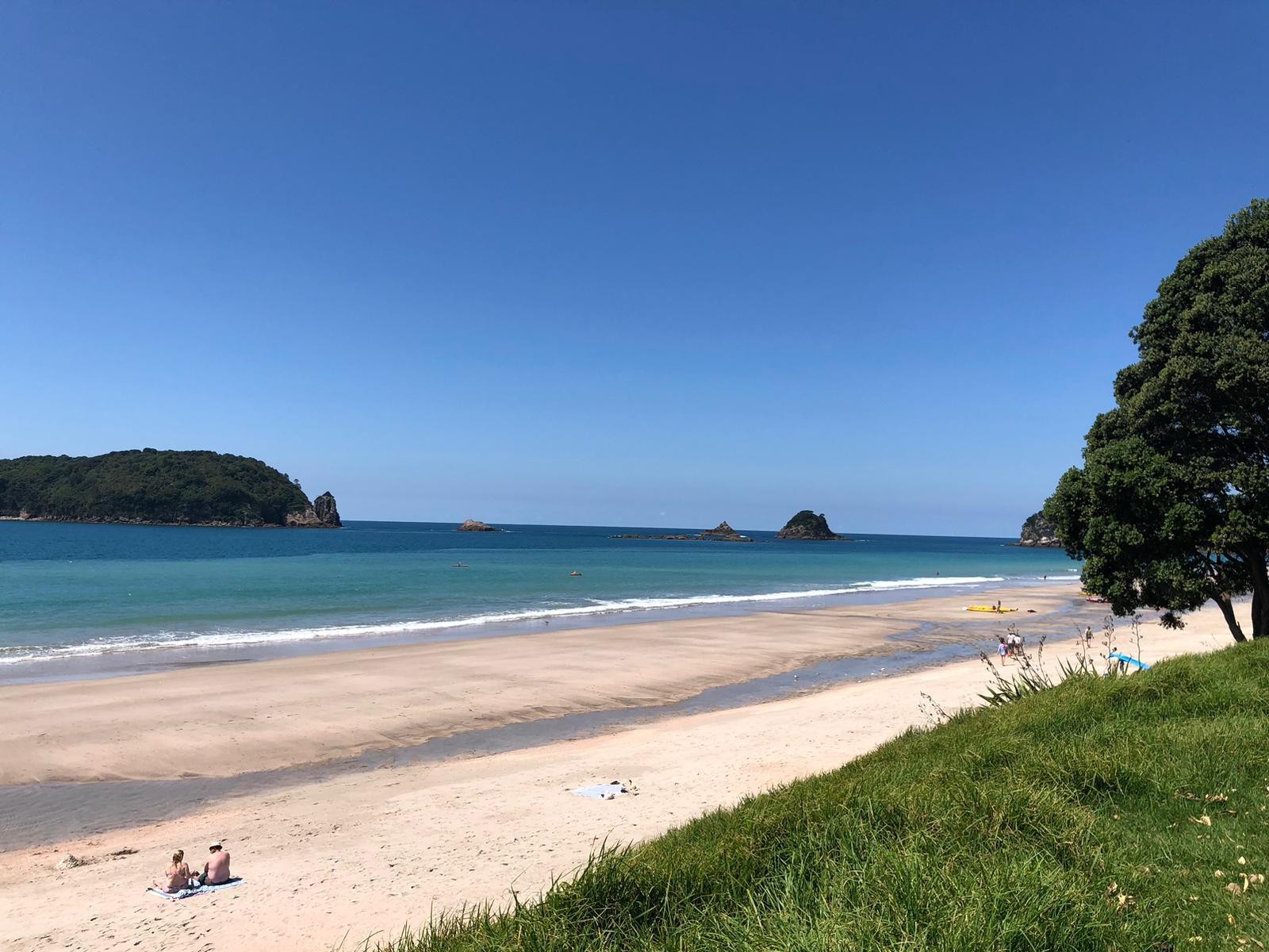 Neuseeland travelessence coromandel strand