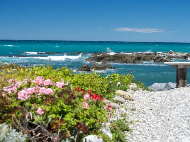 View of Kaikoura Beach with rocks and flowers, New Zealand