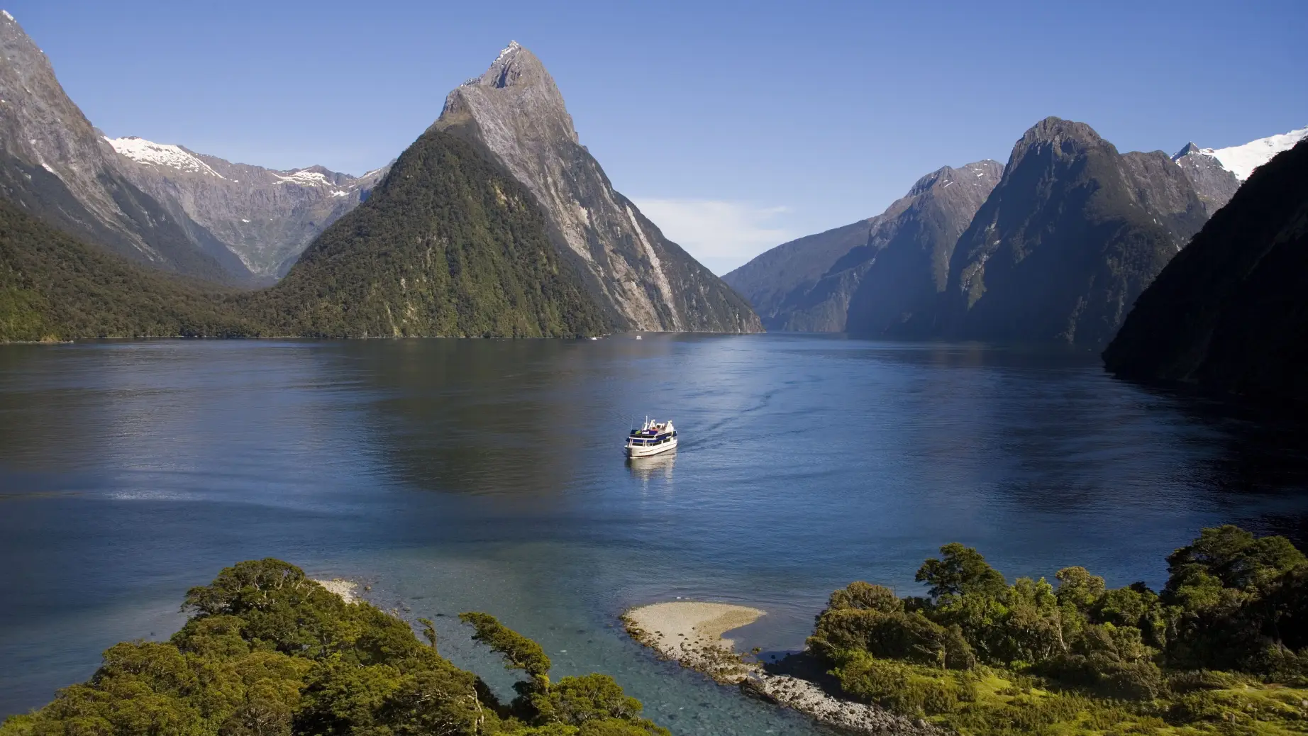 Nz milford sound cruise