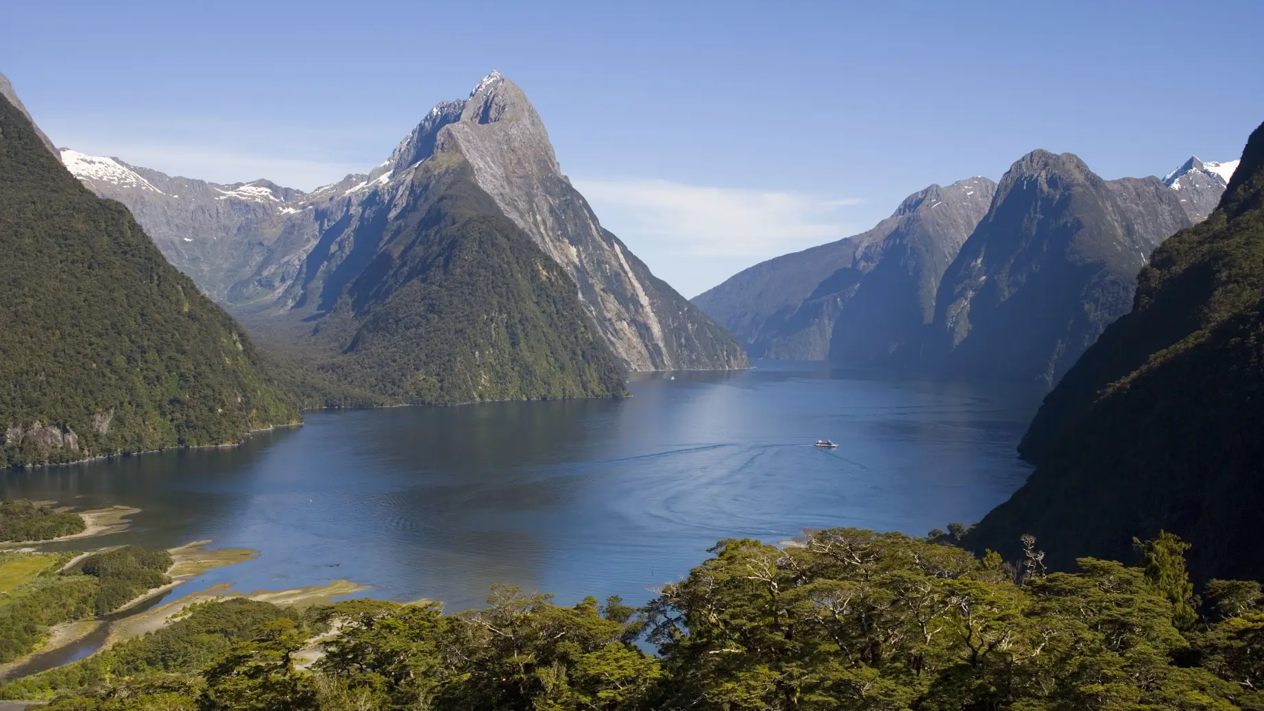 Nz milford sound nature cruise