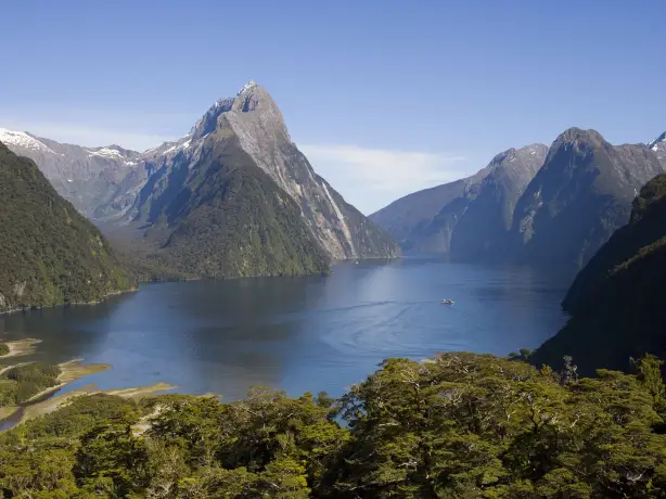 Nz milford sound nature cruise