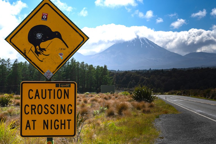 Ein gelbes Straßenschild, das vor Kiwis warnt, die nachts auf der Straße unterwegs sind, in Neuseeland