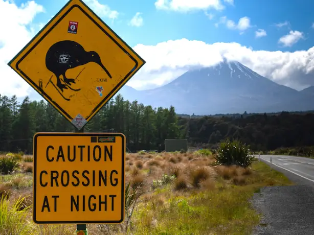 Ein gelbes Straßenschild, das vor Kiwis warnt, die nachts auf der Straße unterwegs sind, in Neuseeland