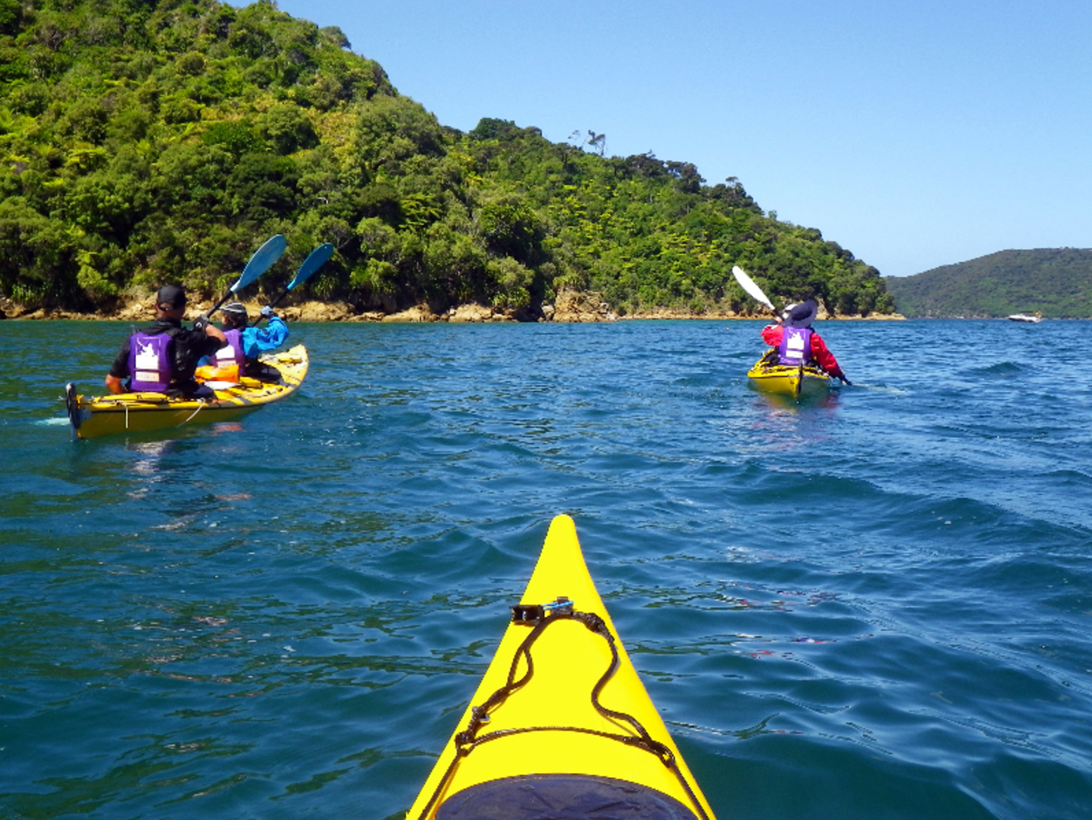 Nz marlborough sounds kayak