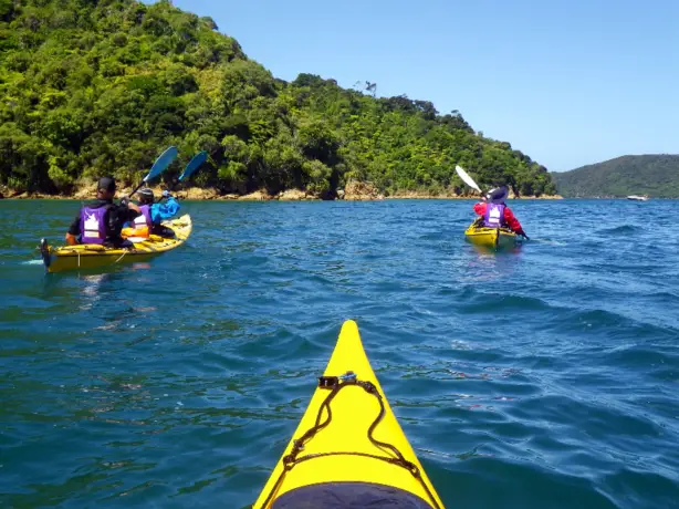 Nz marlborough sounds kayak