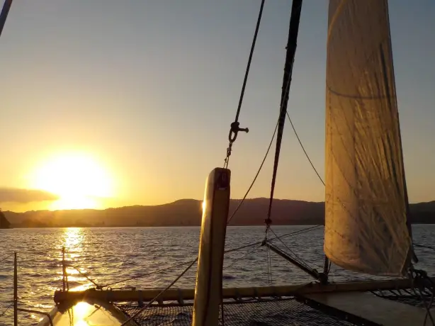 Nz coromandel sail sunset boom sailing