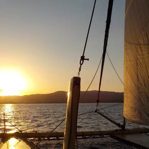 Nz coromandel sail sunset boom sailing