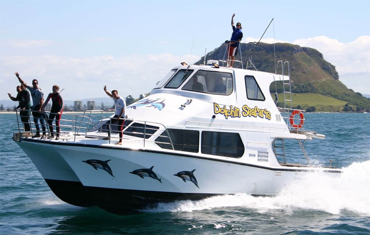 New Zealand bay of plenty dolphin watching