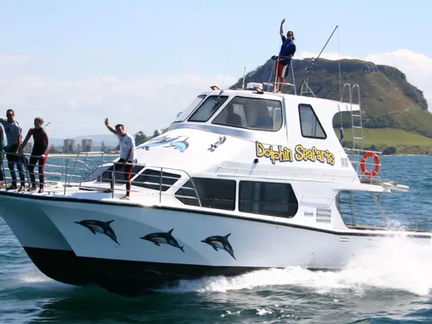 New Zealand bay of plenty dolphin watching