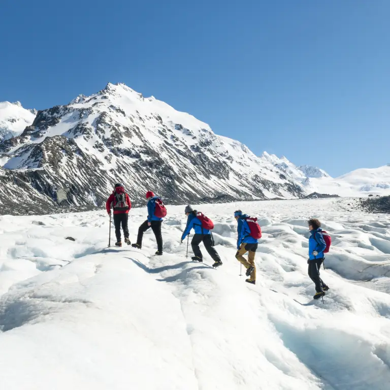 neuseeland Aoraki Mount Cook National Park Gletscher