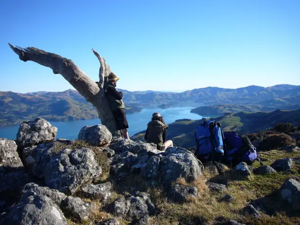 Nz banks Track banks peninsula 2 day hike local guide akaroa harbour