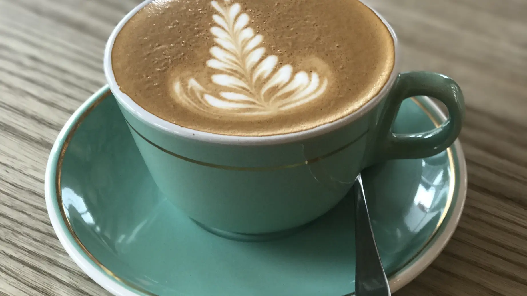 Nz wellington local cafe coffee cup food tour