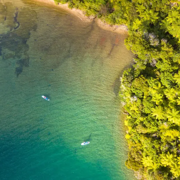 An aerial shot of people paddle boarding on a blue sea by a shore of green trees in Marlborough Sounds, New Zealand
