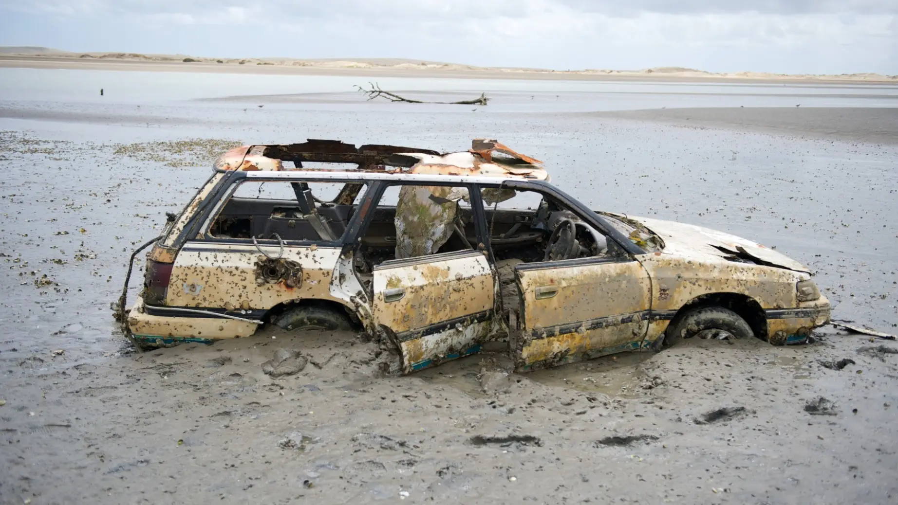 Neuseeland Strand Wrackteile