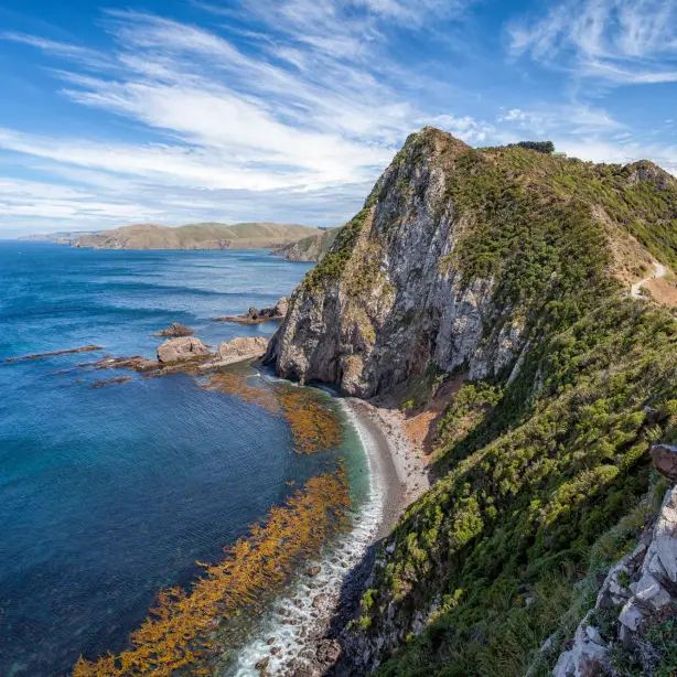 Southern Scenic Route Catlins Neuseeland 5