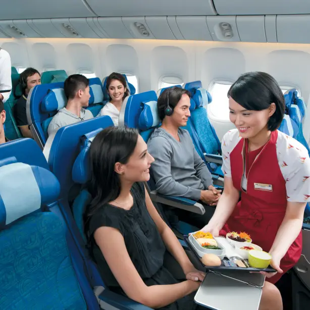 Nz flights economy