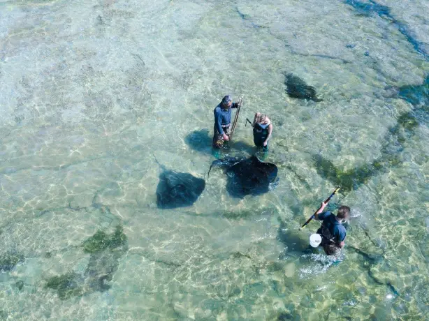 1964 Dive Tatapouri 1599744080 gisborne 7