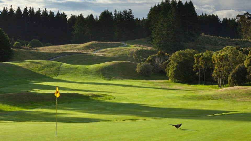 3997 Wairakei International Golf Course 6