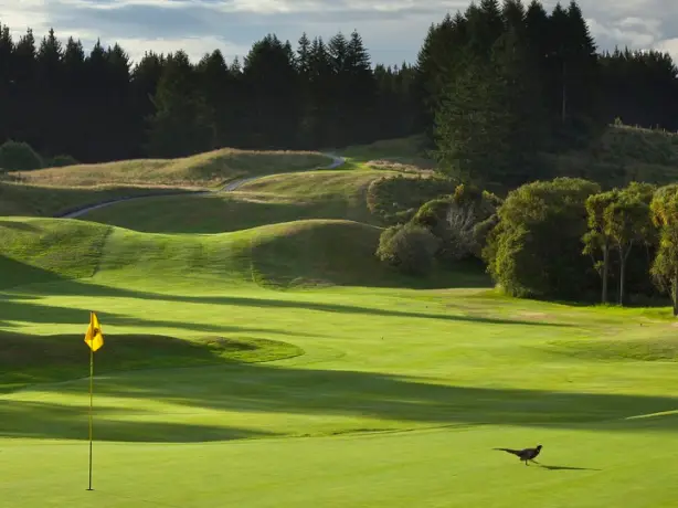 3997 Wairakei International Golf Course 6