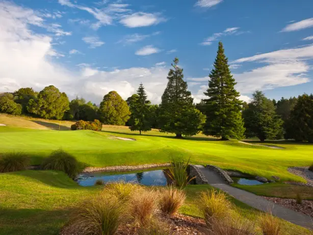 3997 Wairakei International Golf Course 7