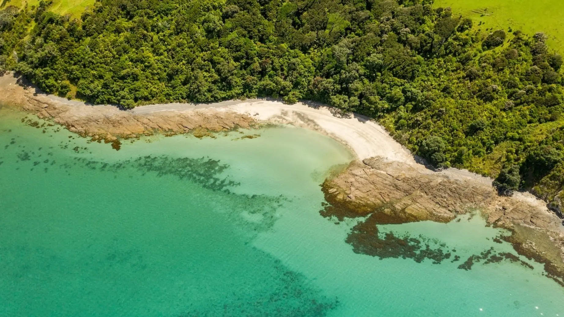 NZ - Abel Tasman Tawharanui Beach