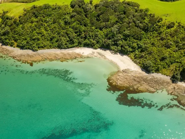 NZ - Abel Tasman Tawharanui Beach