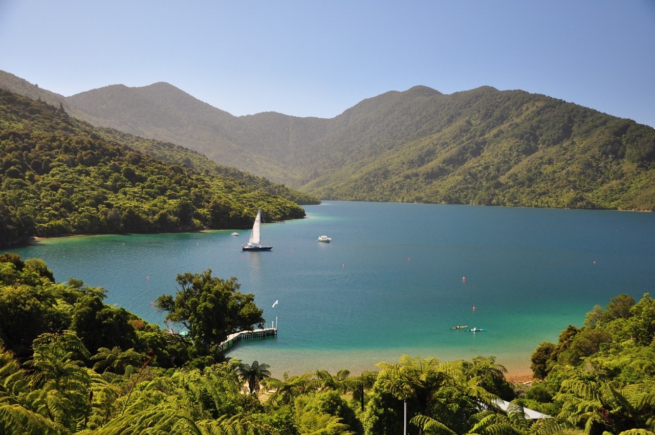 Boten en kajaks op het water omringd door bergen in de Marlborough-klanken in Nieuw-Zeeland