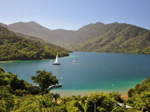 Blick auf den Marlborough Sound, palmengesäumter Strand, blaues Wasser mit Segelboot