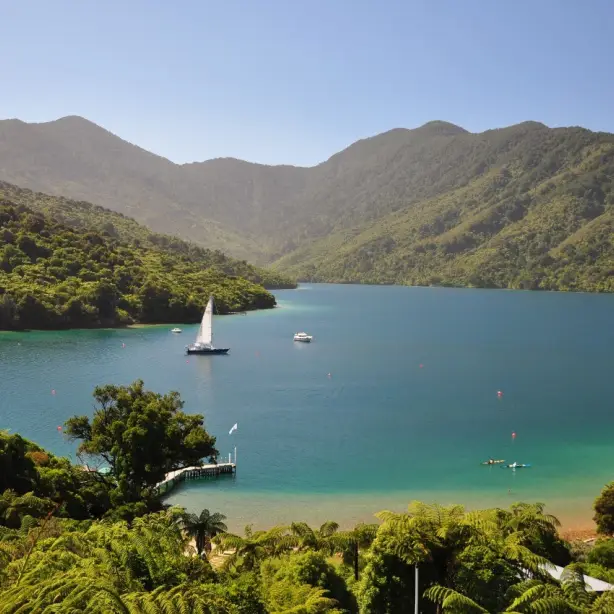 Blick auf den Marlborough Sound, palmengesäumter Strand, blaues Wasser mit Segelboot