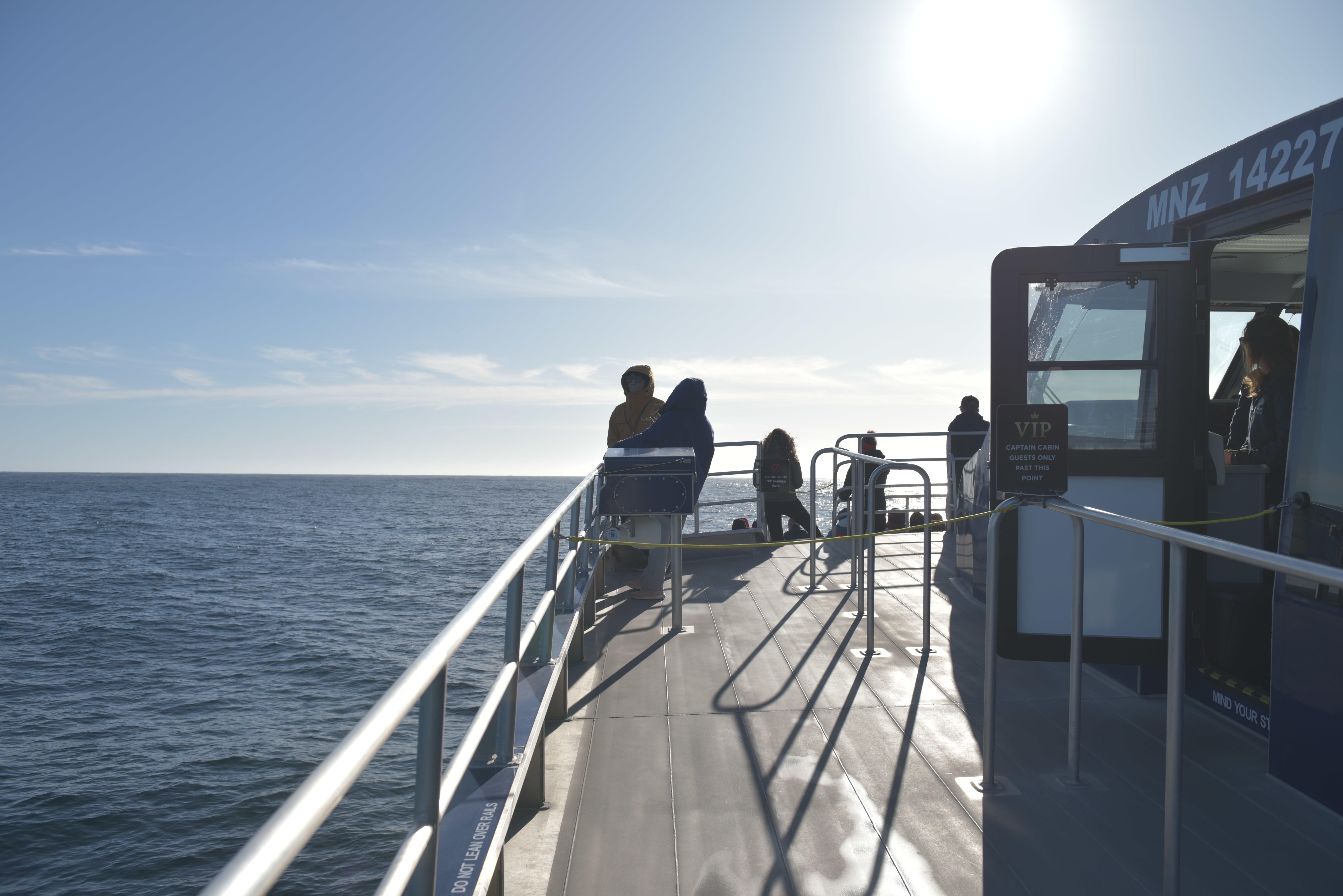 NZ whale watch Kaikoura VIP Captains Cabin