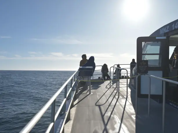 NZ whale watch Kaikoura VIP Captains Cabin