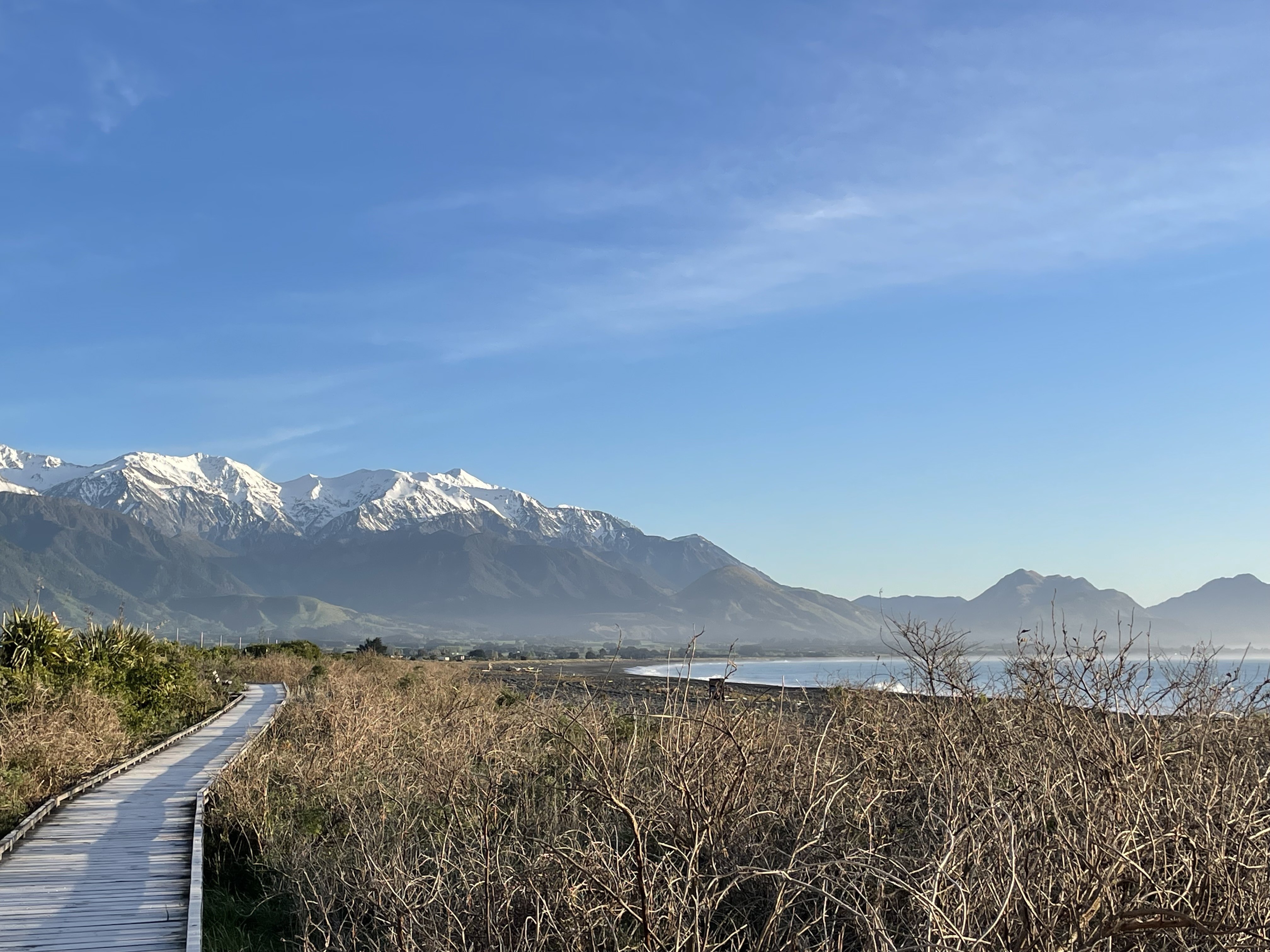 NZ Kaikoura forshore early morning