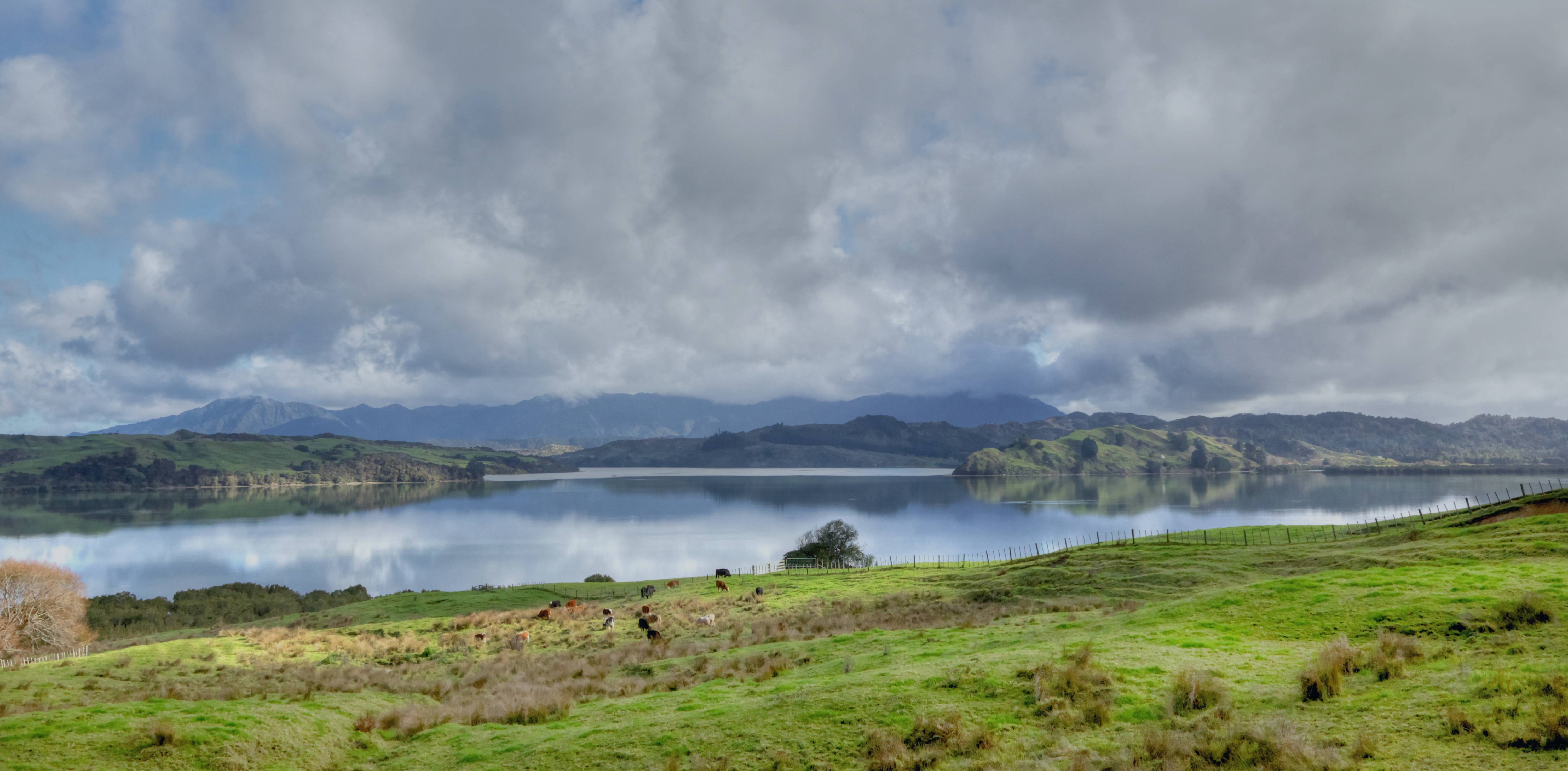 NZ North Hokianga Valley