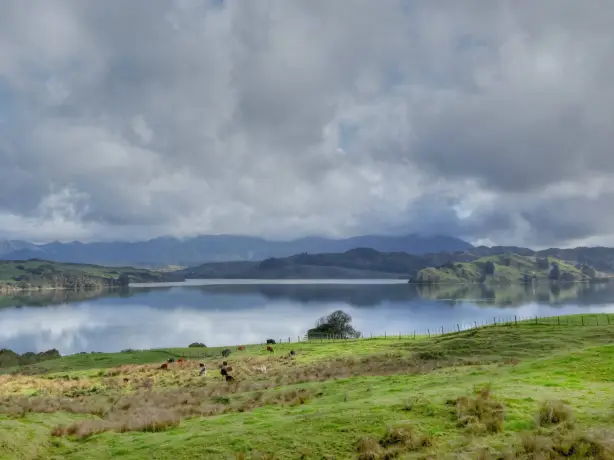 NZ North Hokianga Valley