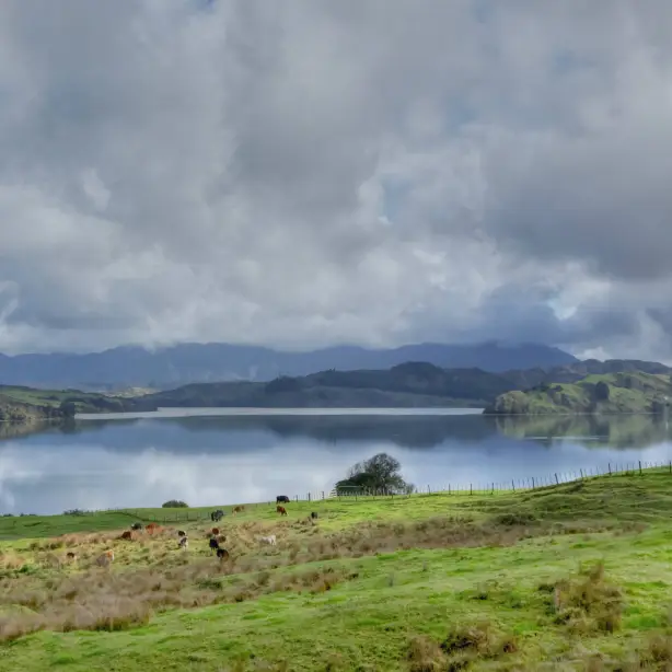 NZ North Hokianga Valley
