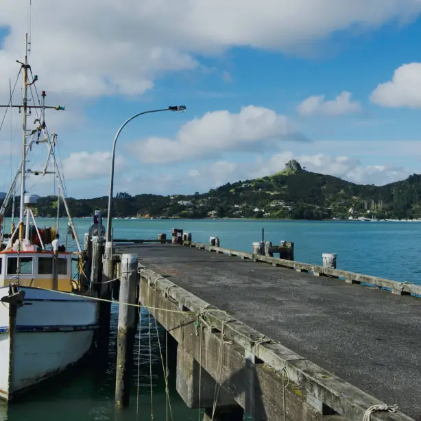 NZ North Whangaroa Harbour
