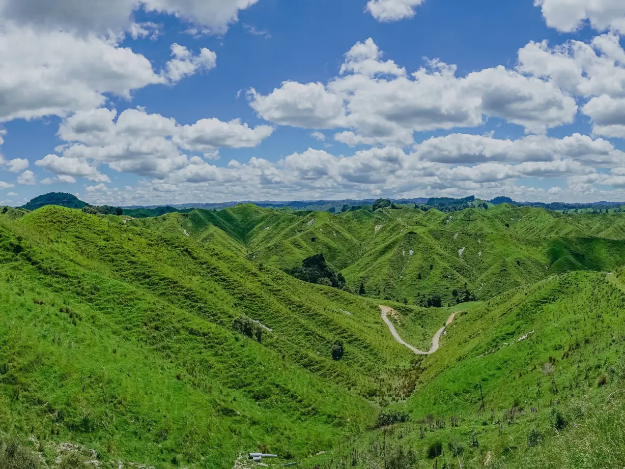 NZ north Forgotten World Highway landscape
