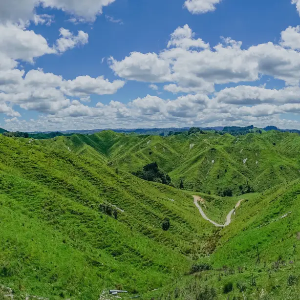 NZ north Forgotten World Highway landscape