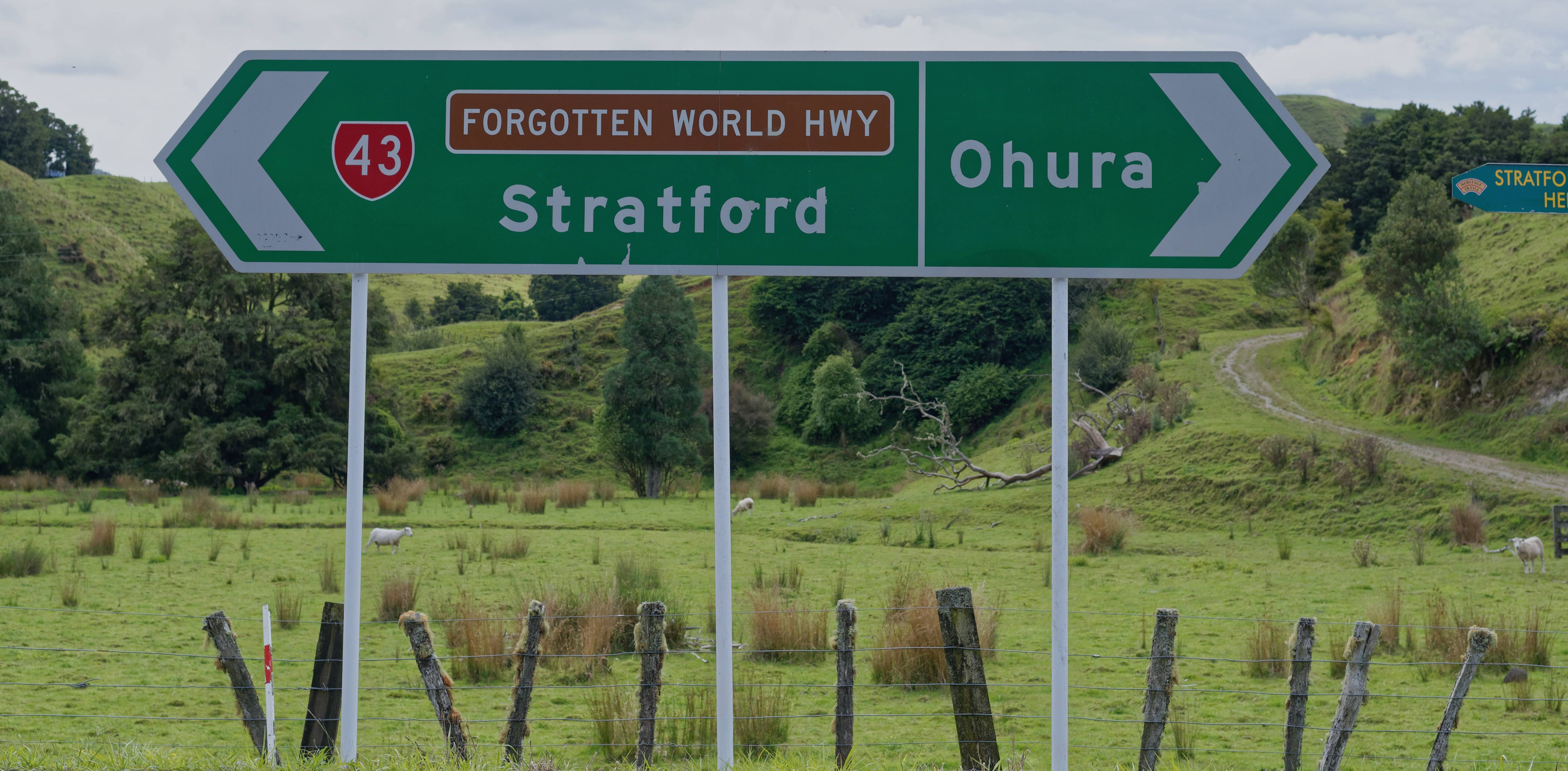 NZ north Forgotten World Highway