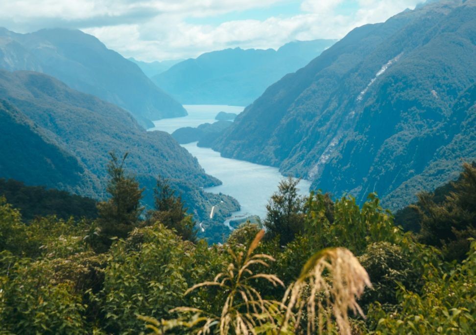 Doubtful Sound hero