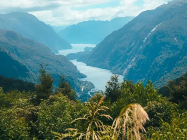 Doubtful Sound hero