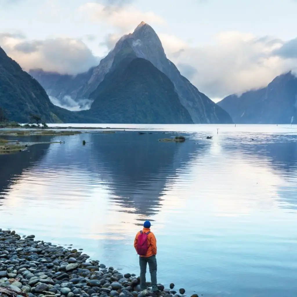 A man stands on the shores of Milford Sound in New Zealand