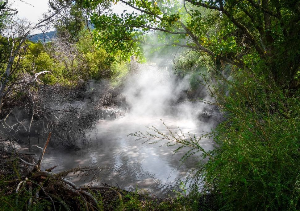 Rotorua hot springs