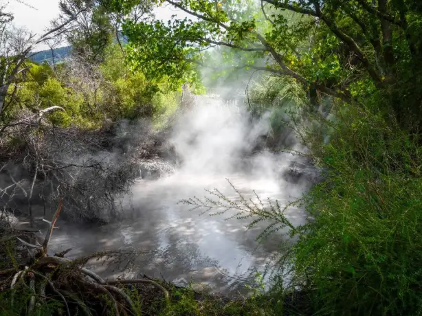 Rotorua hot springs